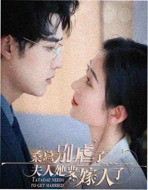 阿拉蕾漫画分卷第十二封面示意